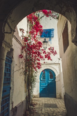 a narrow alleyway with a blue door and red flowers