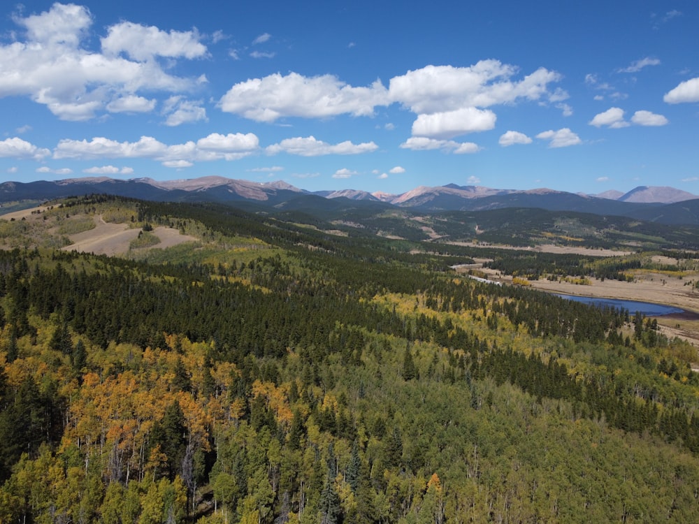 an aerial view of a forest with mountains in the background