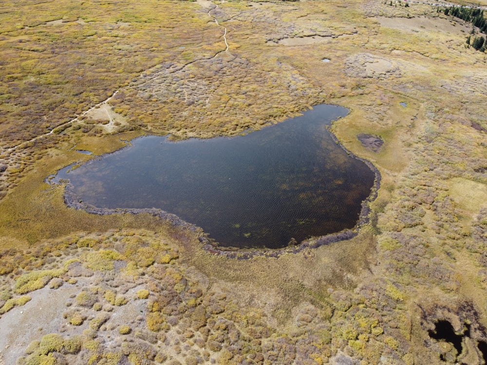 a large body of water surrounded by grass