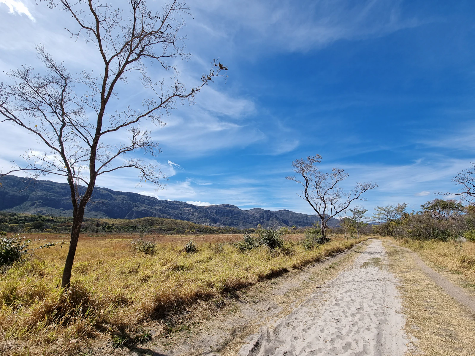 Trilha de terra cruzando o campo aberto da Serra do Cipó — Santana do Riacho, MG
