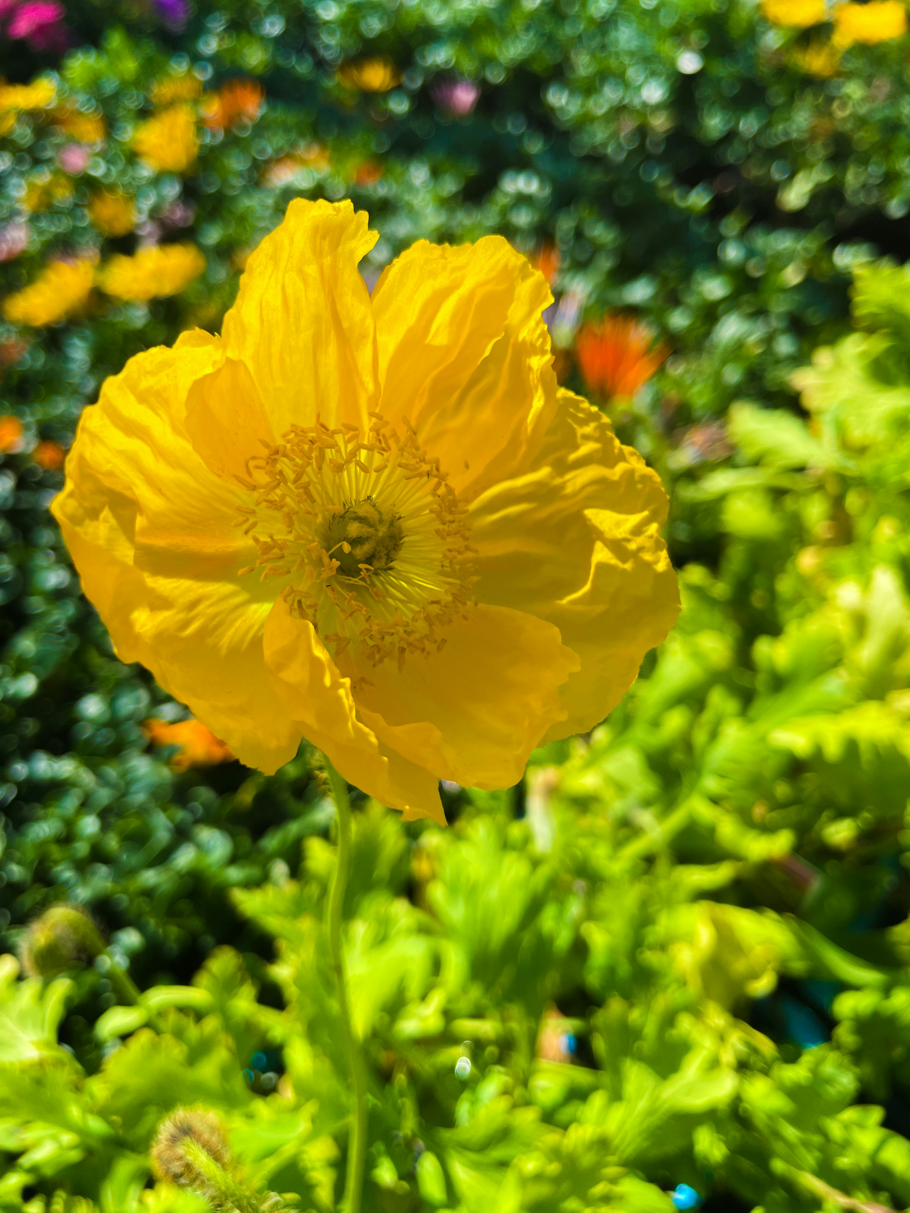 Photo by janinekrobinson