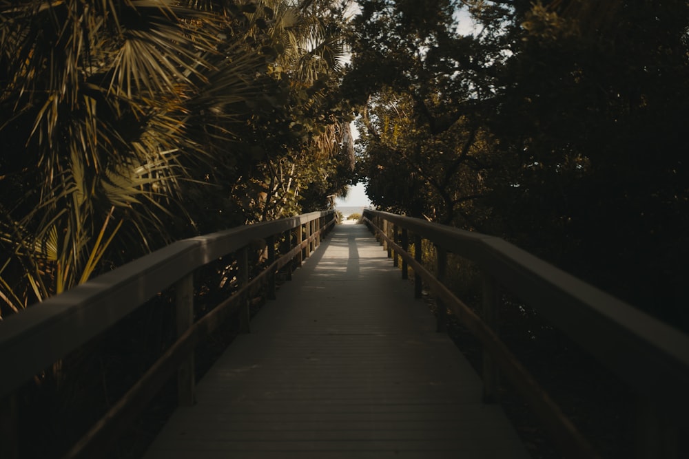 a wooden walkway leading to a beach with palm trees