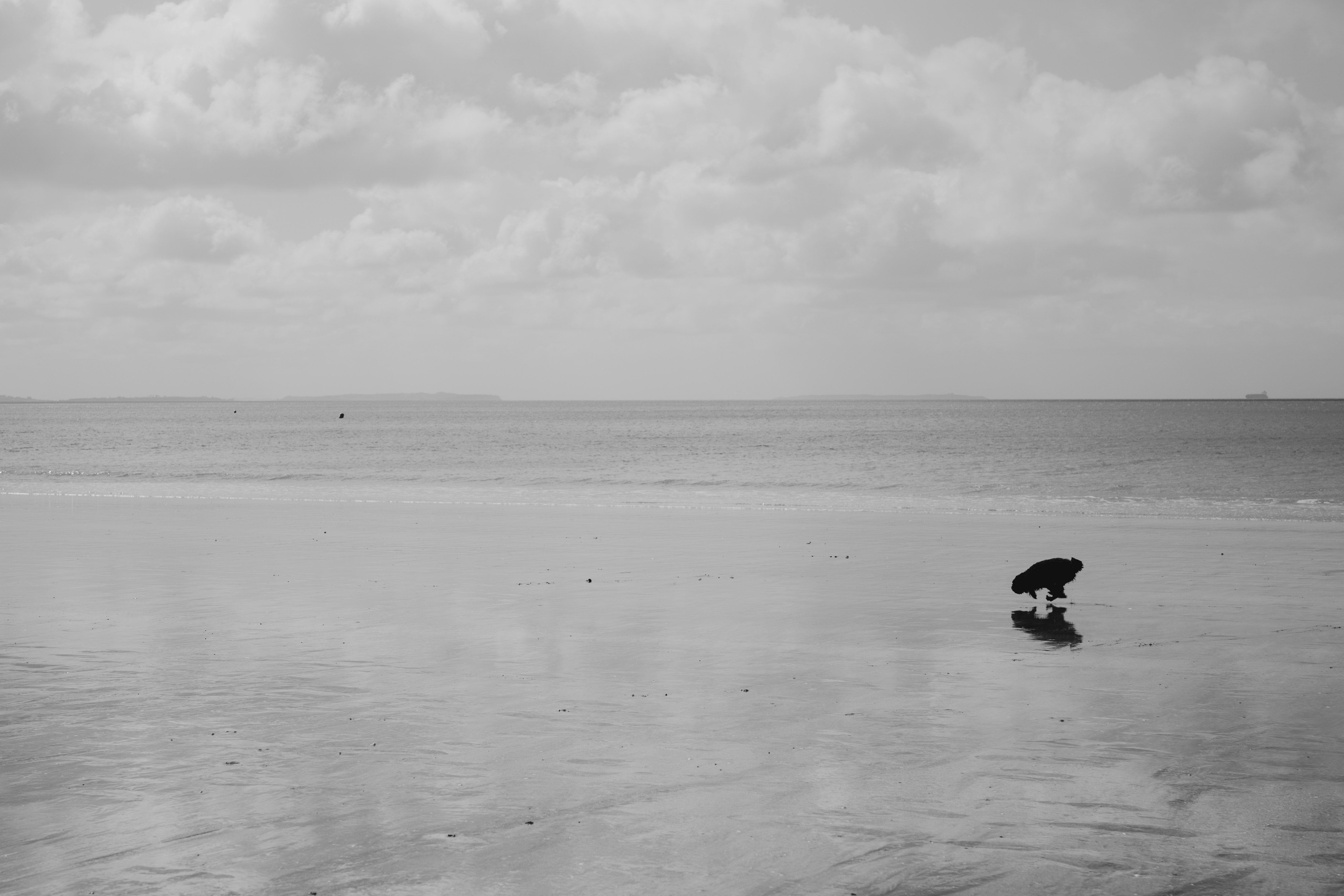 Photo by valophotocinema