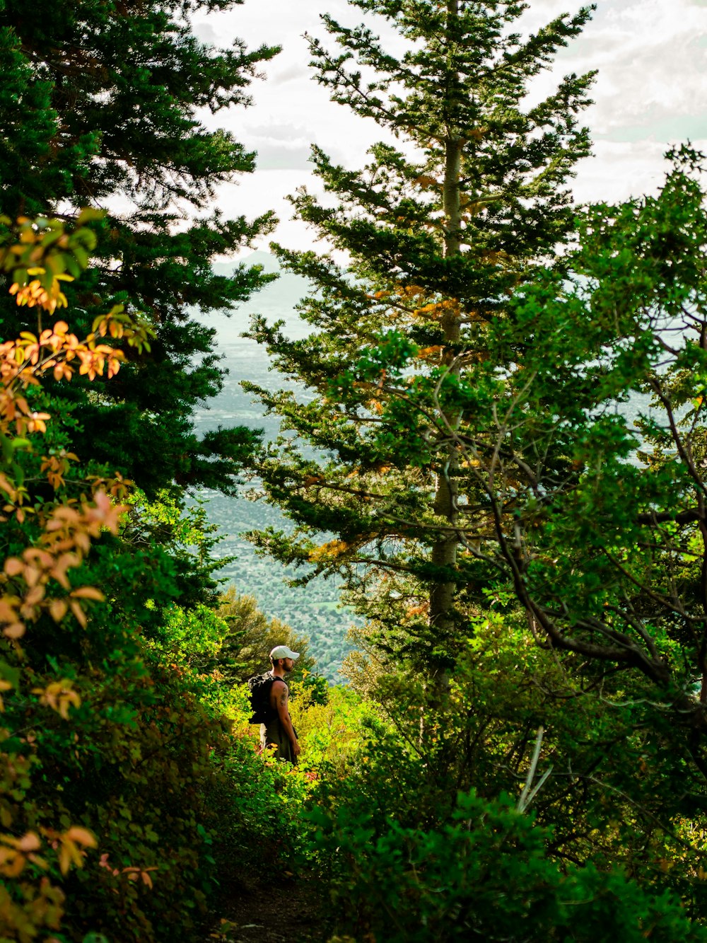 a person hiking up a trail in the woods