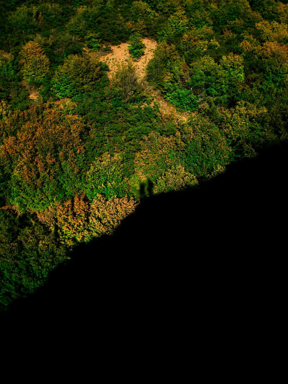 a shadow of a person standing on a hill