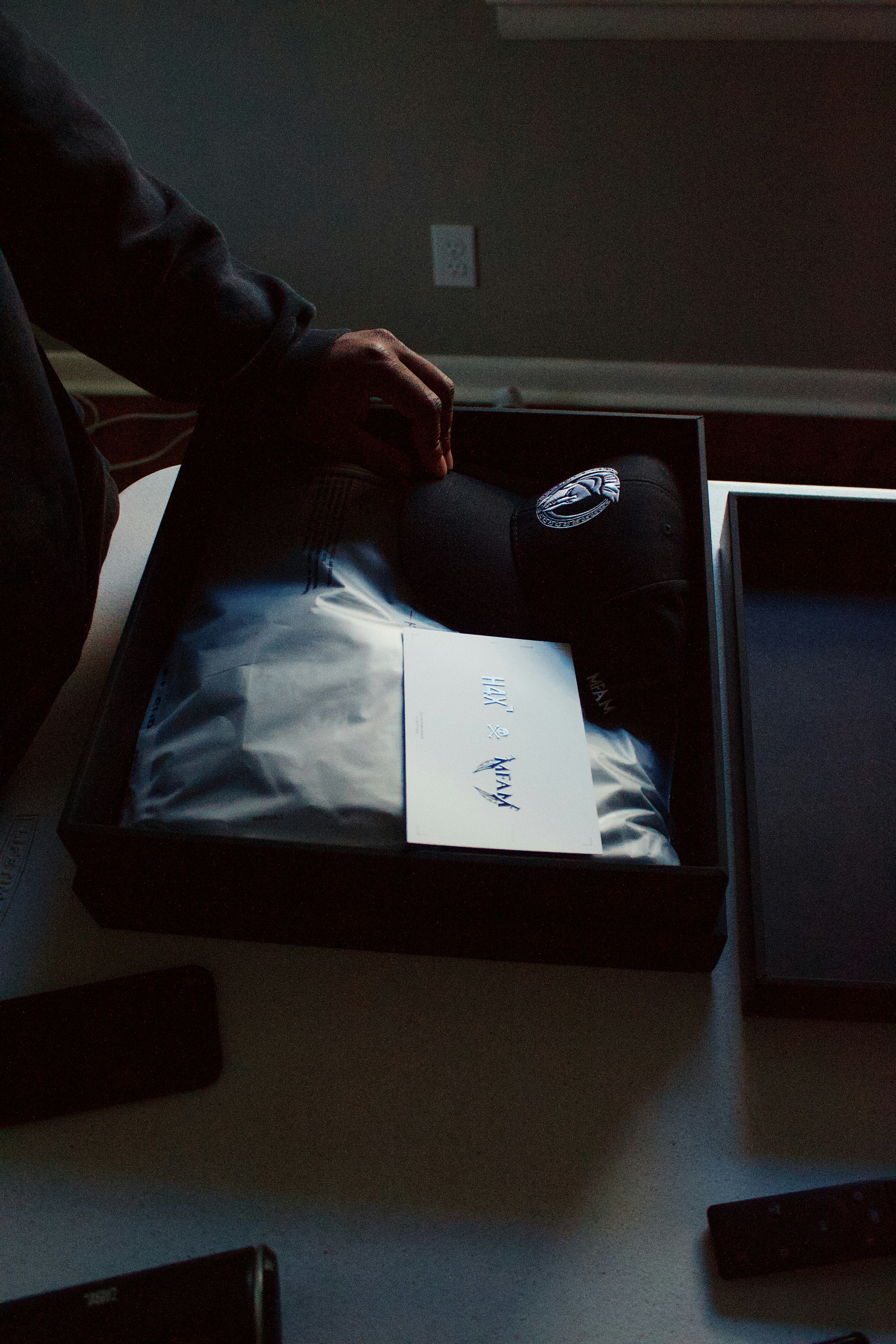 Veterinarian reviewing high-resolution X-ray images