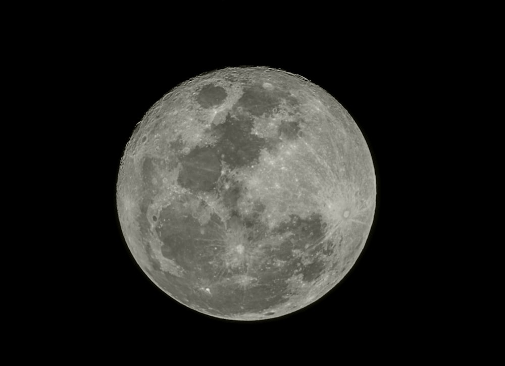 Una luna piena è vista nel cielo scuro