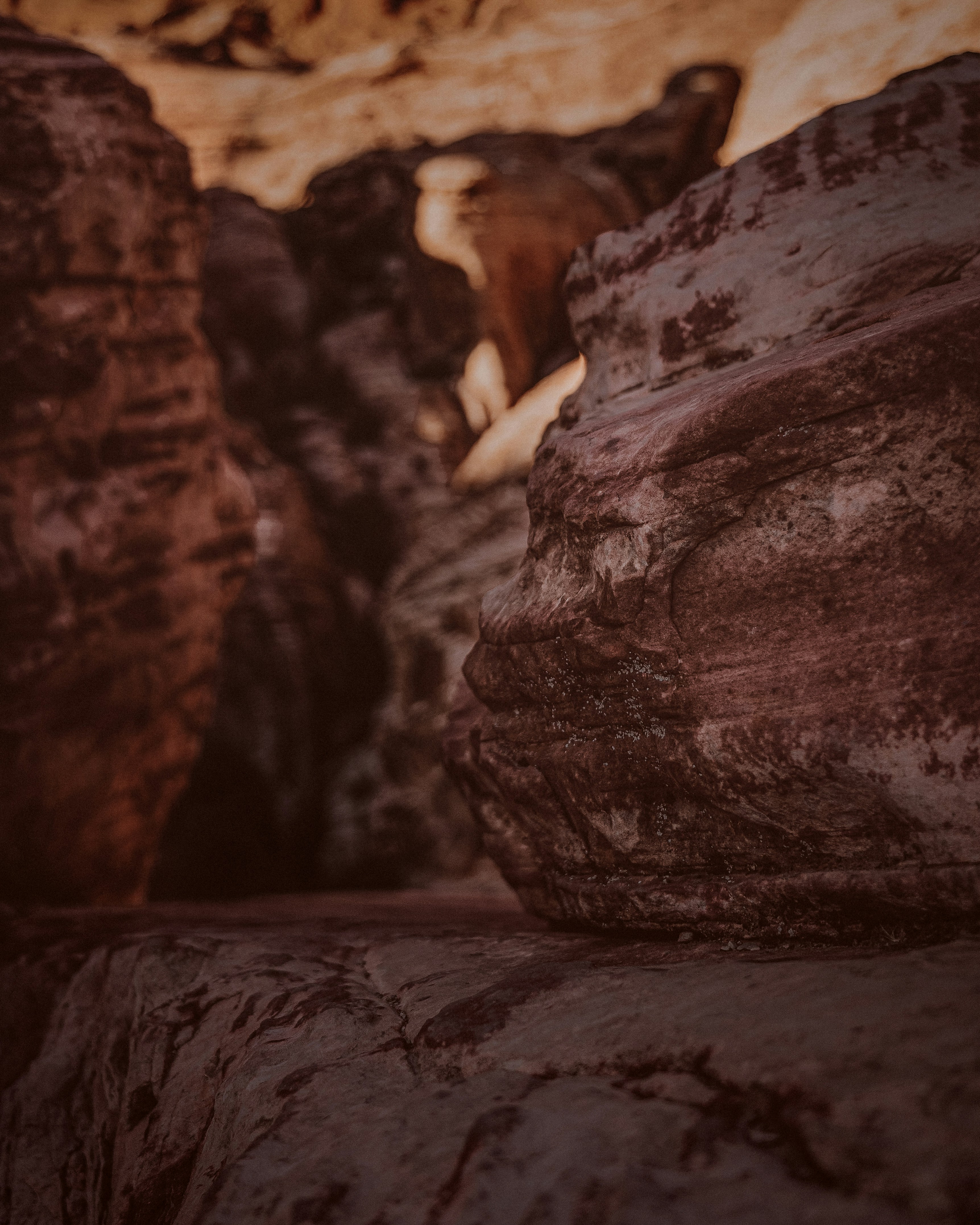 Photo by kalaniparker