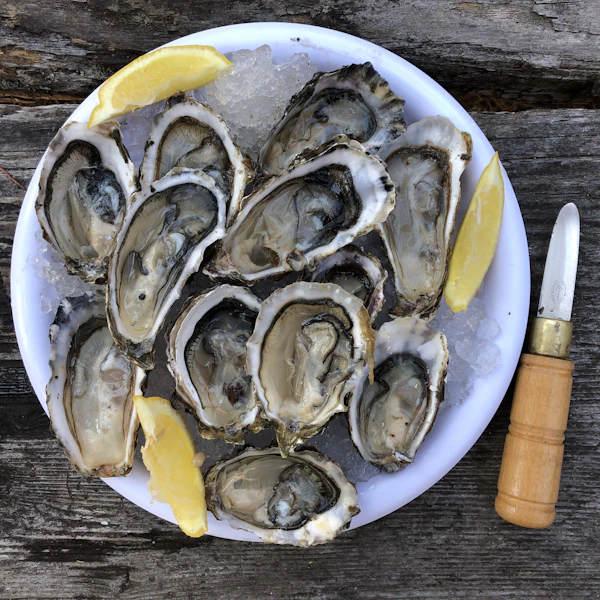 oyster shucking