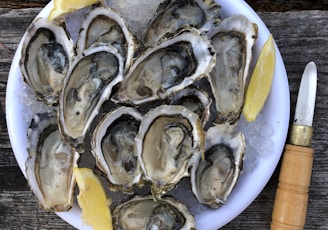 a plate of oysters with lemon wedges and a knife