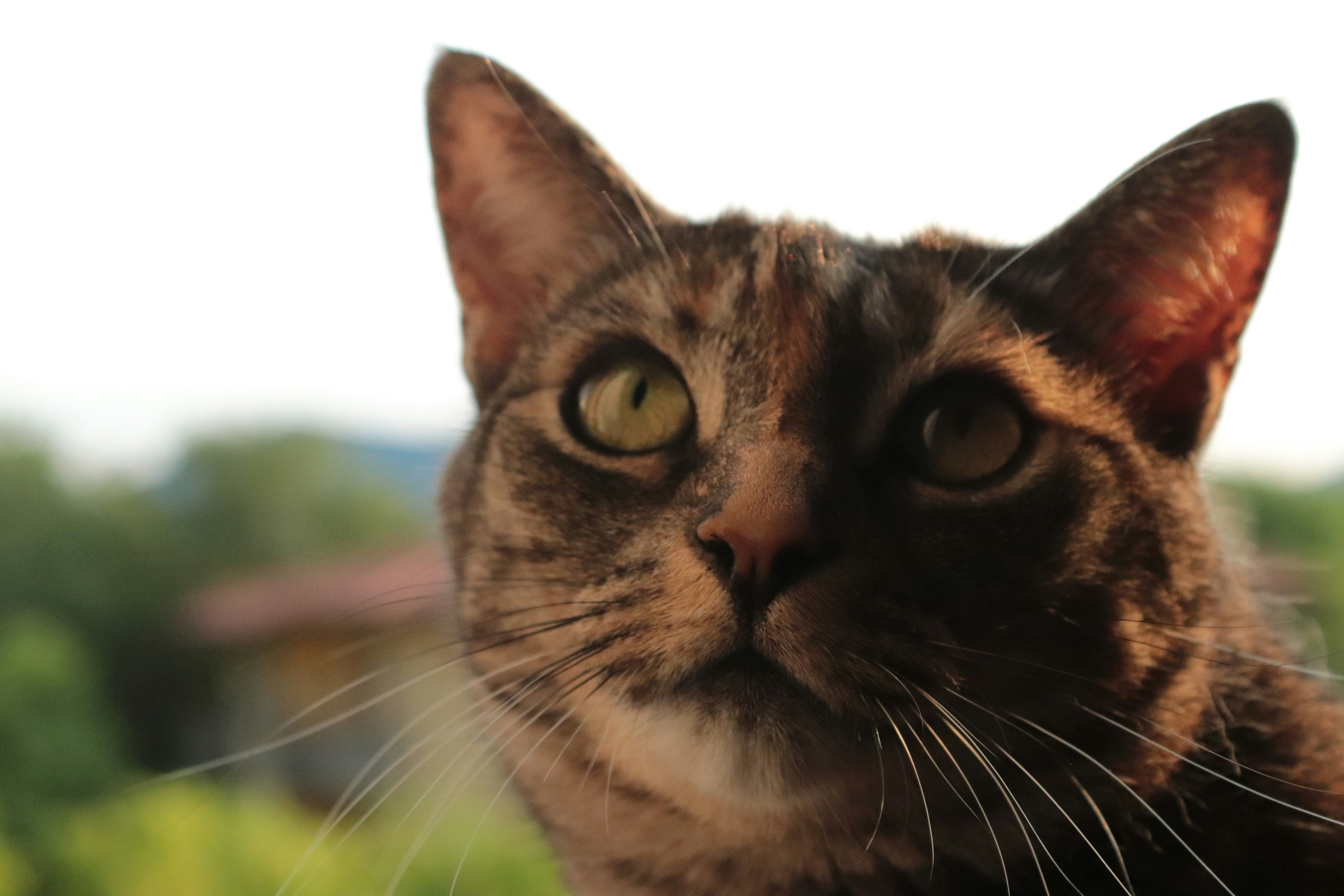 Photo by stefano_intintoli