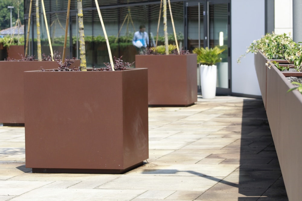 a group of planters sitting on top of a sidewalk