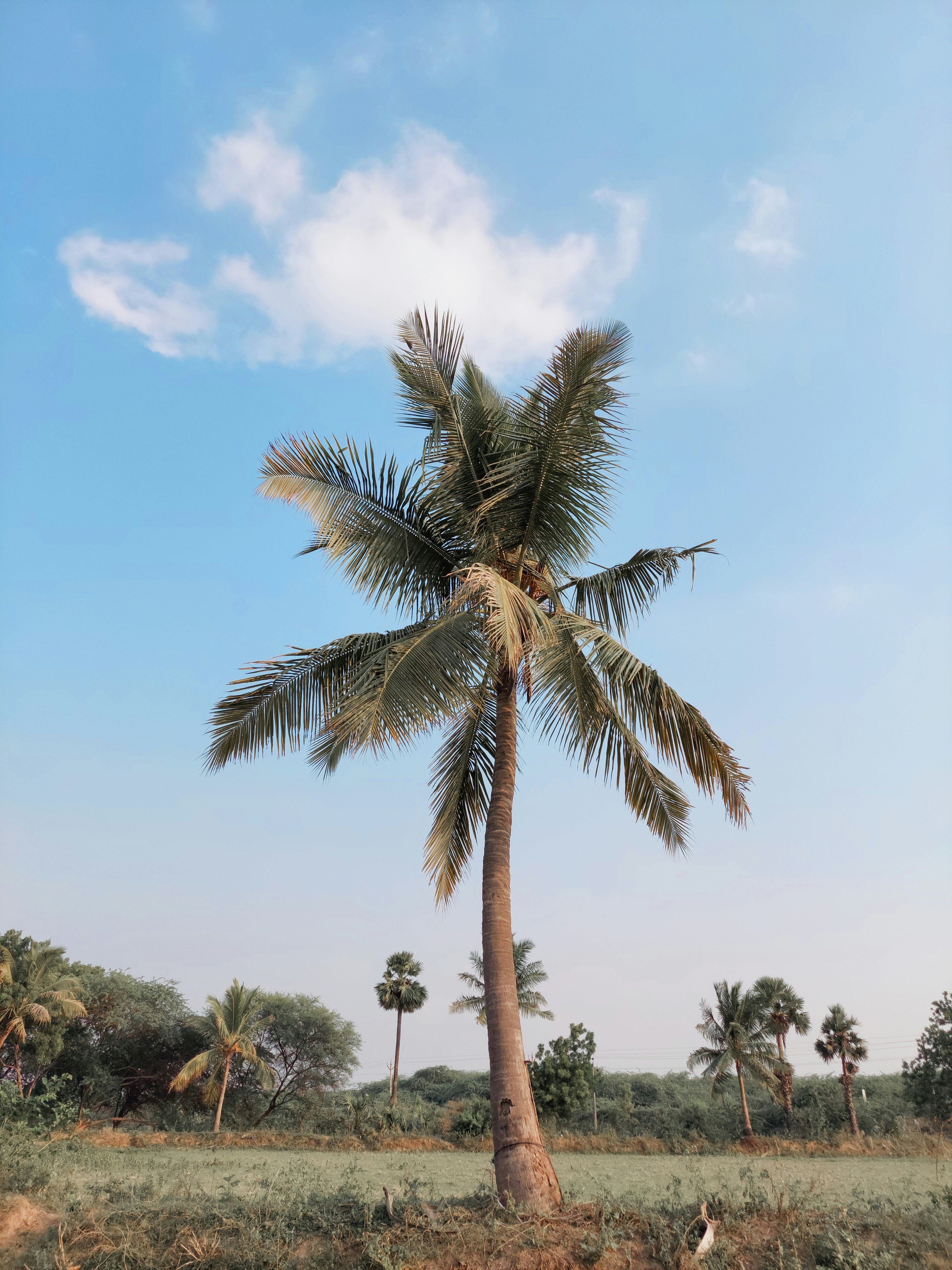 Photo by shiva_photography