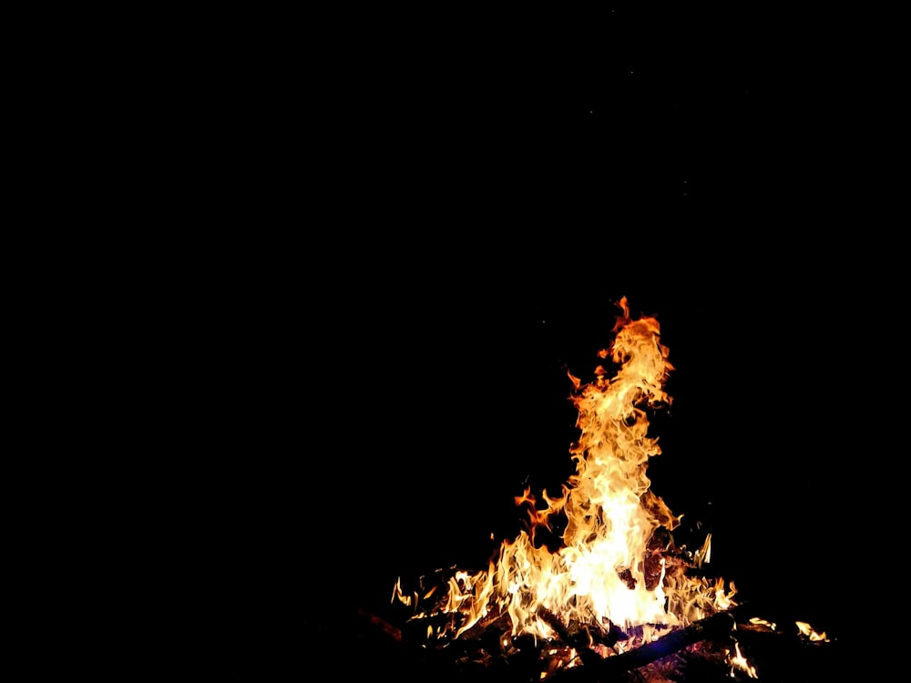 a bonfire is lit up in the dark
