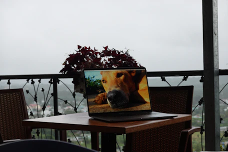 A friendly customer service representative assisting a pet owner with a return via laptop.