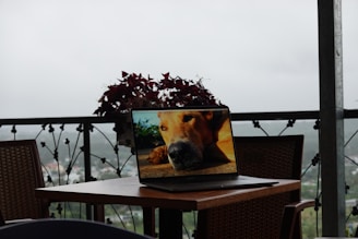 A laptop sits on a wooden table with a screen displaying a close-up image of a dog's face. The setting appears to be an outdoor patio with wicker chairs and metal railings adorned with decorative elements. In the background, a cloudy sky and a blurred cityscape can be seen, suggesting an elevated location with a view.