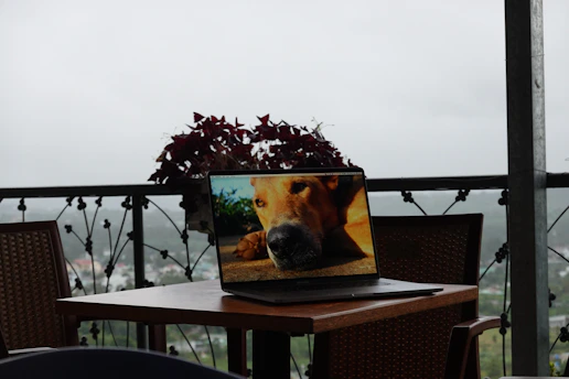 A laptop screen displaying a detailed AI product review on pawchimpai's website.
