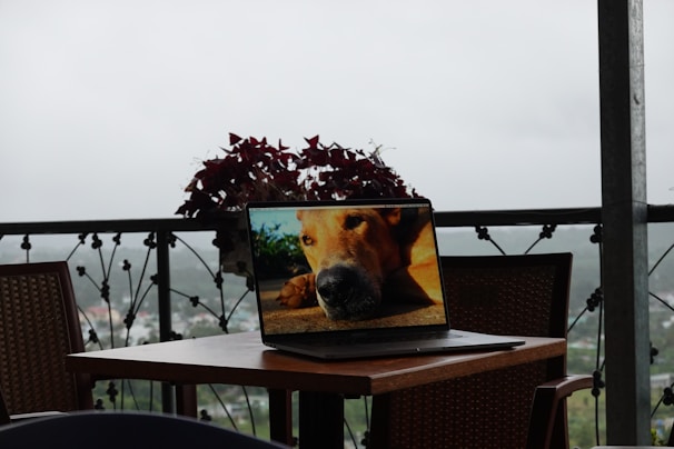 A laptop sits on a wooden table with a screen displaying a close-up image of a dog's face. The setting appears to be an outdoor patio with wicker chairs and metal railings adorned with decorative elements. In the background, a cloudy sky and a blurred cityscape can be seen, suggesting an elevated location with a view.