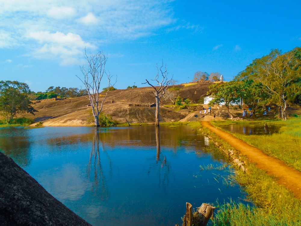 a body of water surrounded by trees and a dirt road