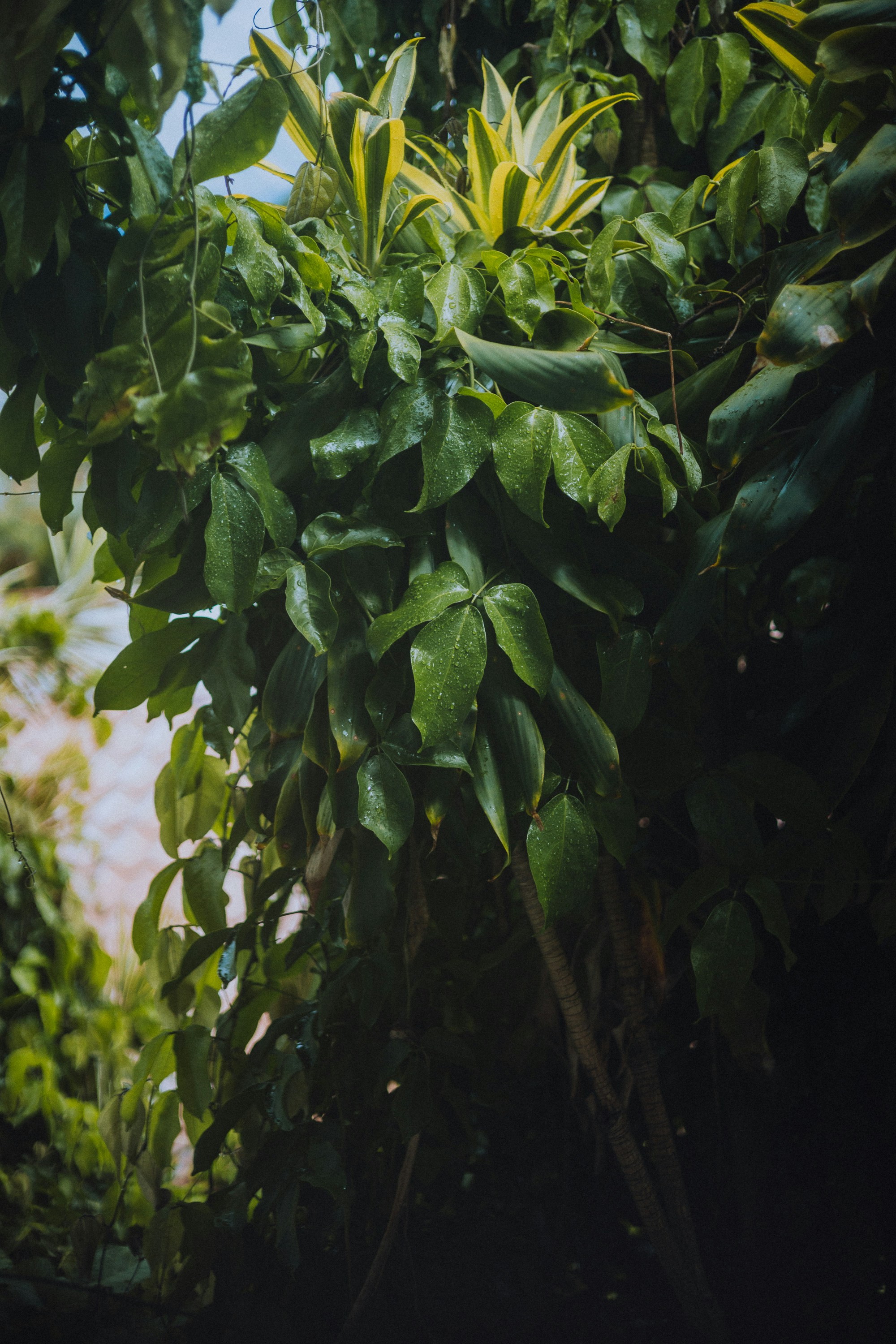 Photo by calebmartinez