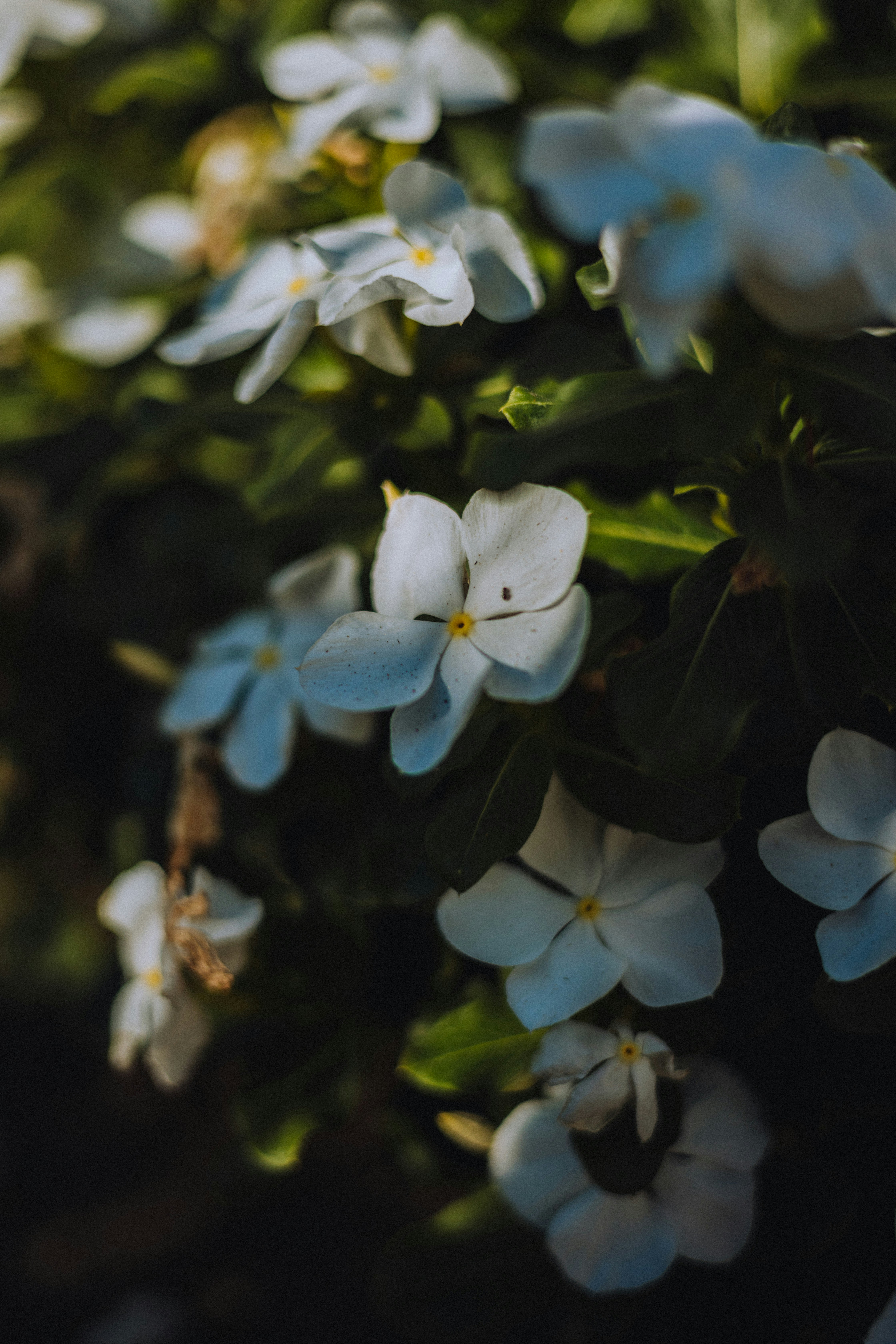 Photo by calebmartinez