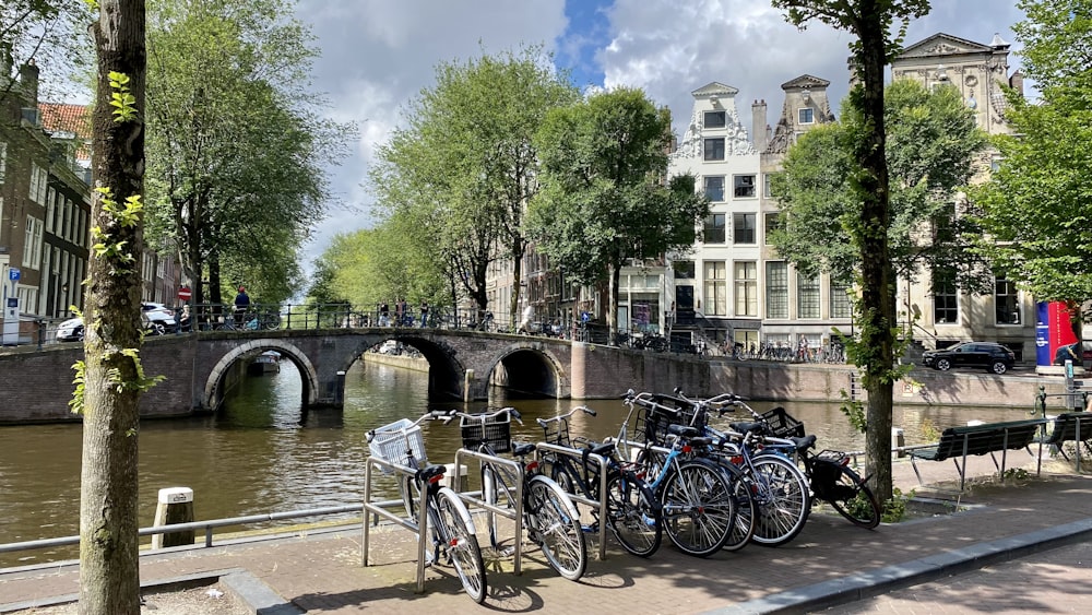 a bunch of bikes are parked on the side of the street