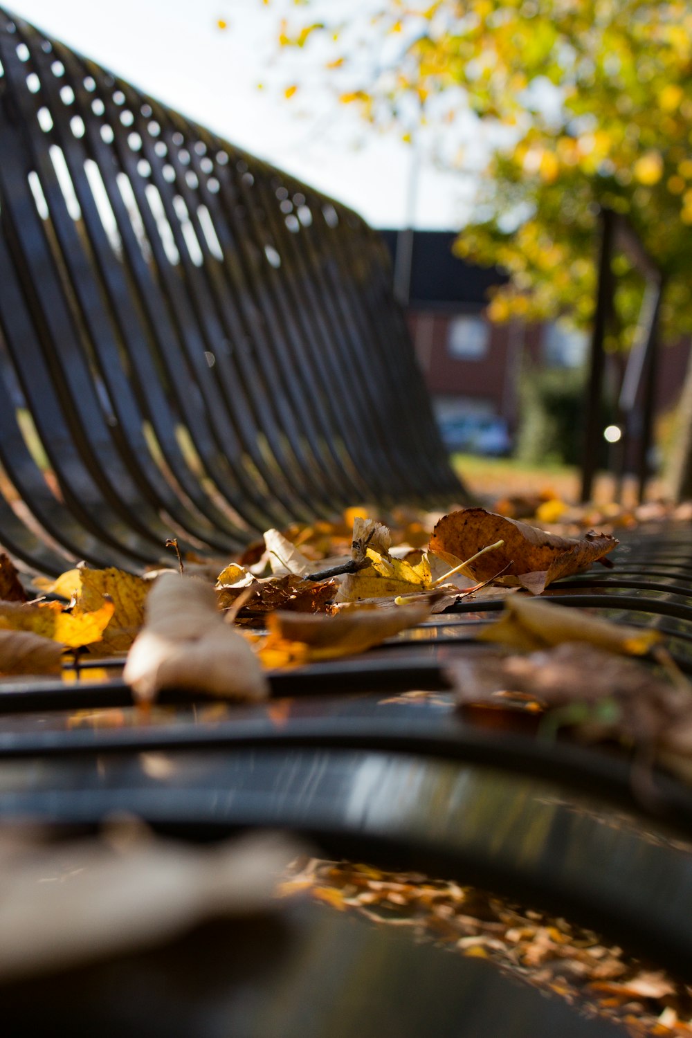 a park bench with fallen leaves on the ground