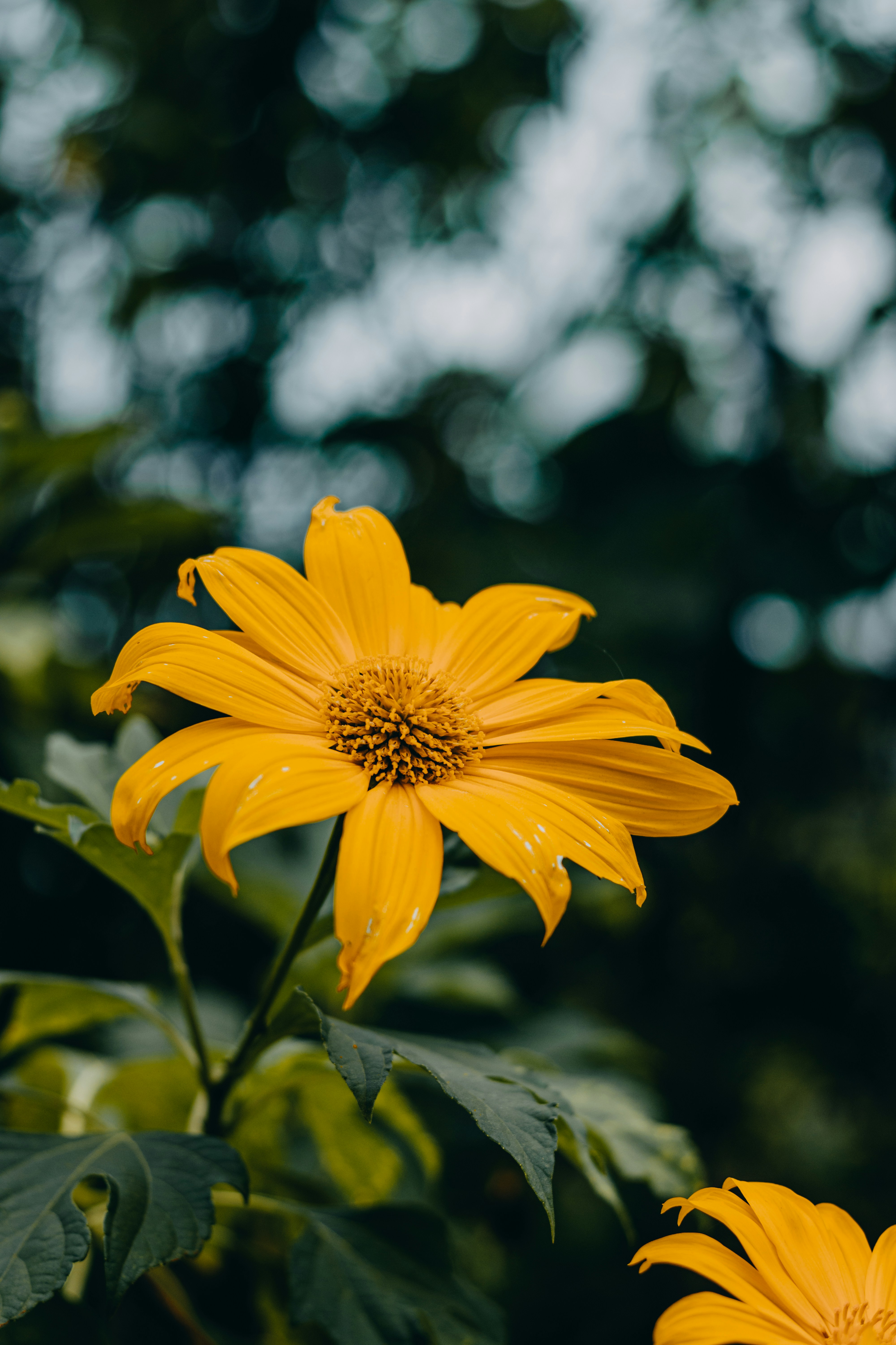 Photo by dhilipantony