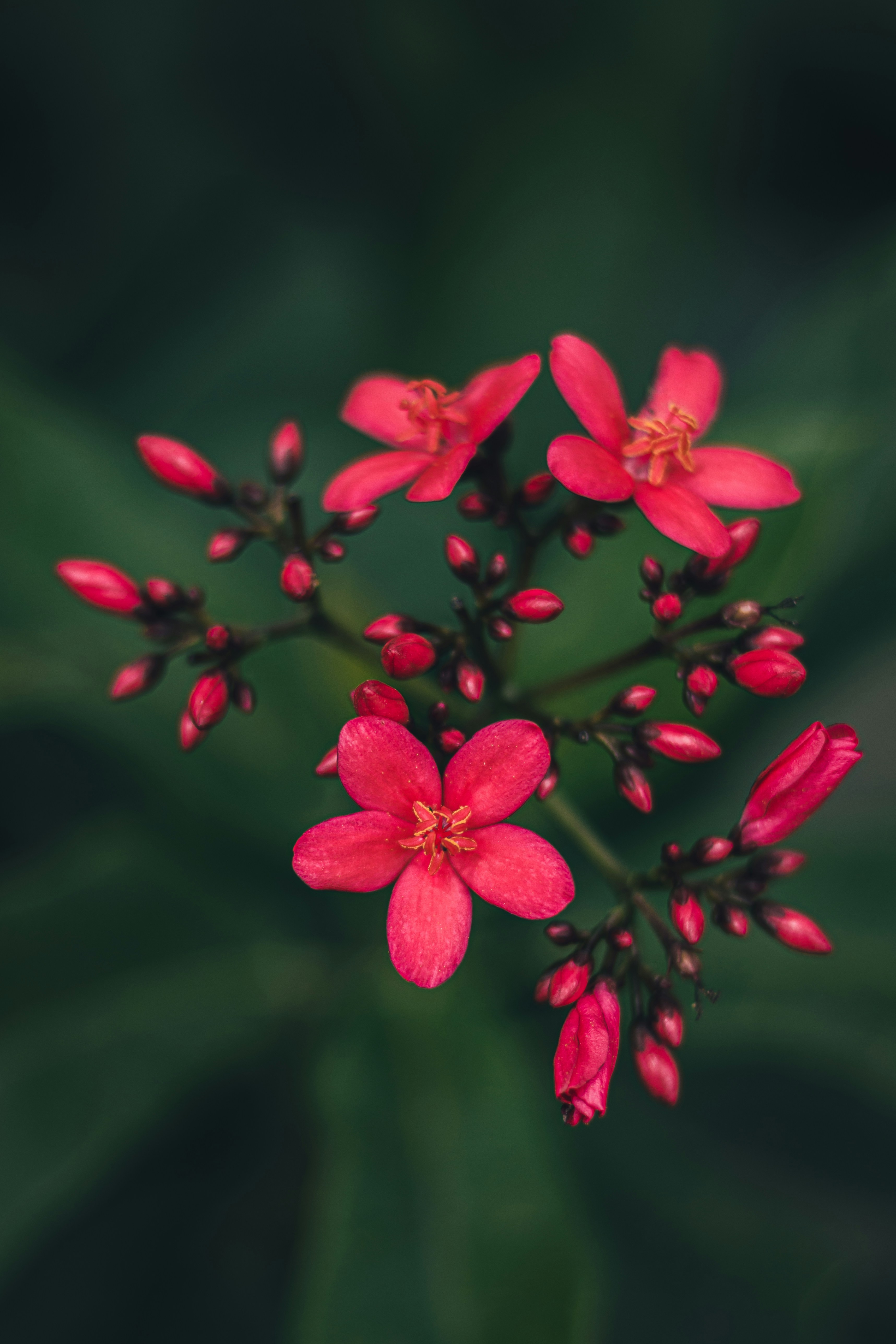 Photo by dhilipantony