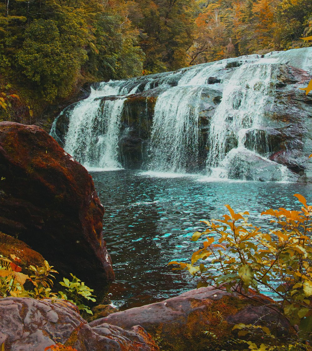 a waterfall in the middle of a forest