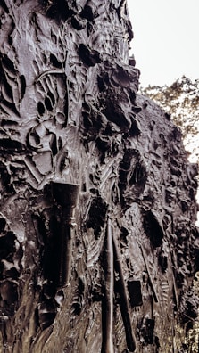 Screenshot of ricota's resource library featuring textures and brushes on display.