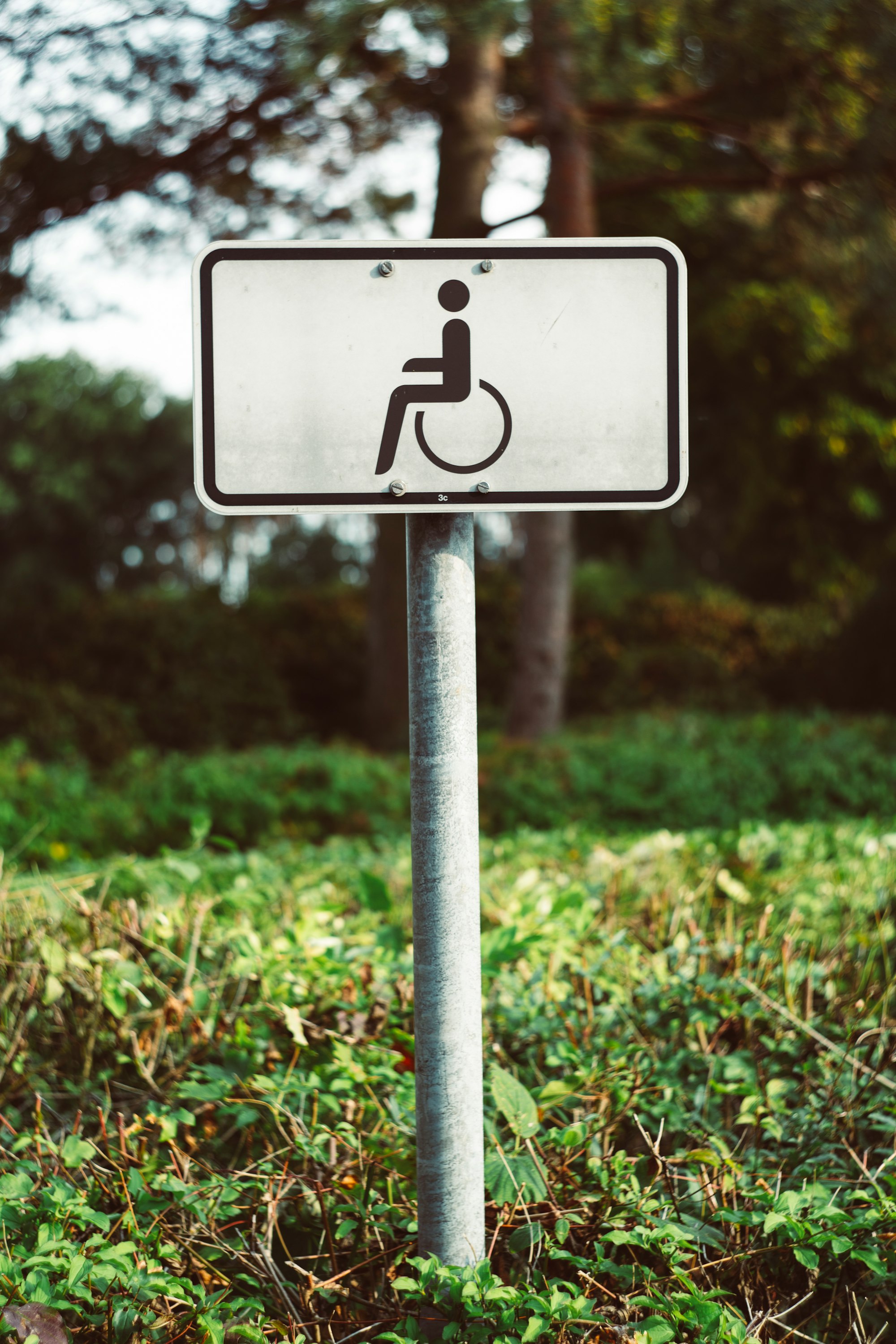 The Disabled Suffer from the Pandemic