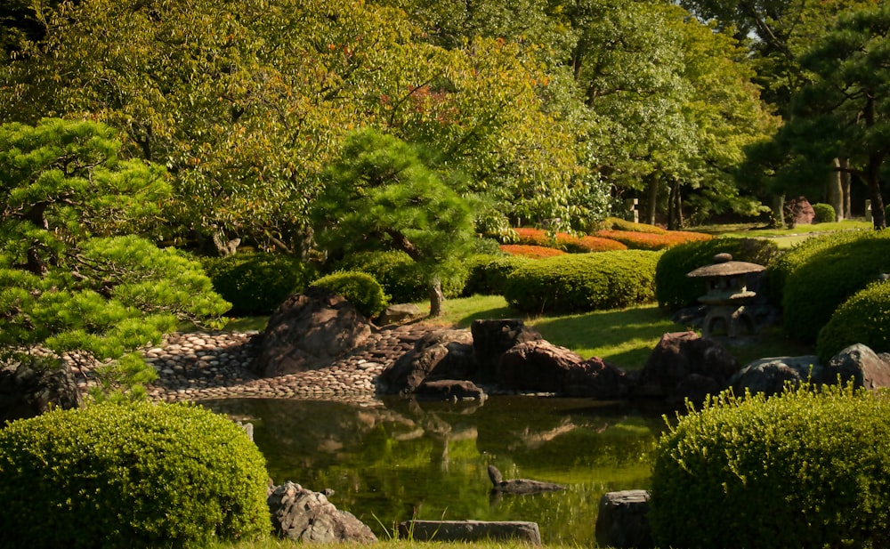 a small pond surrounded by rocks and trees