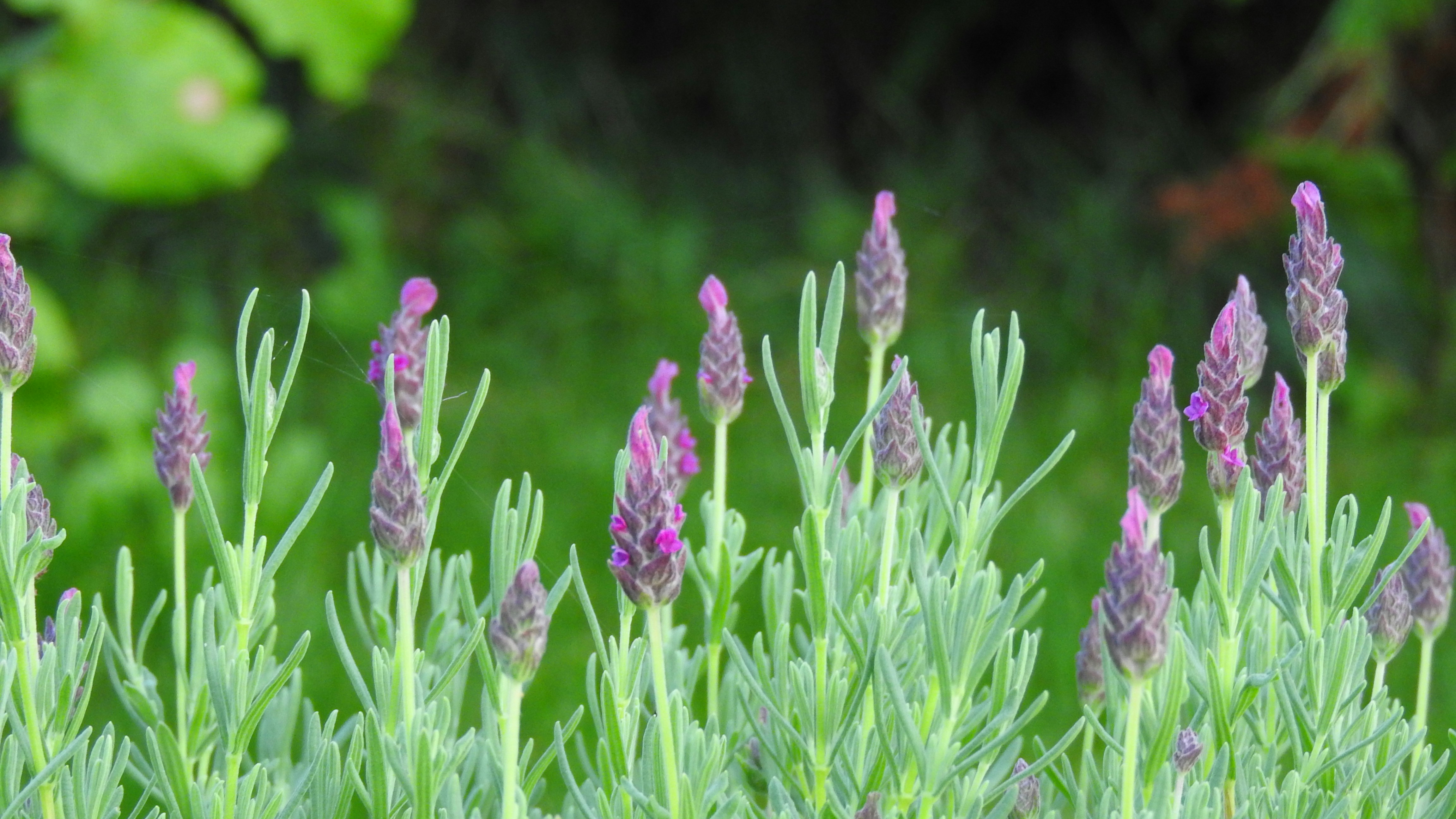 Photo by claus_h_godbersen