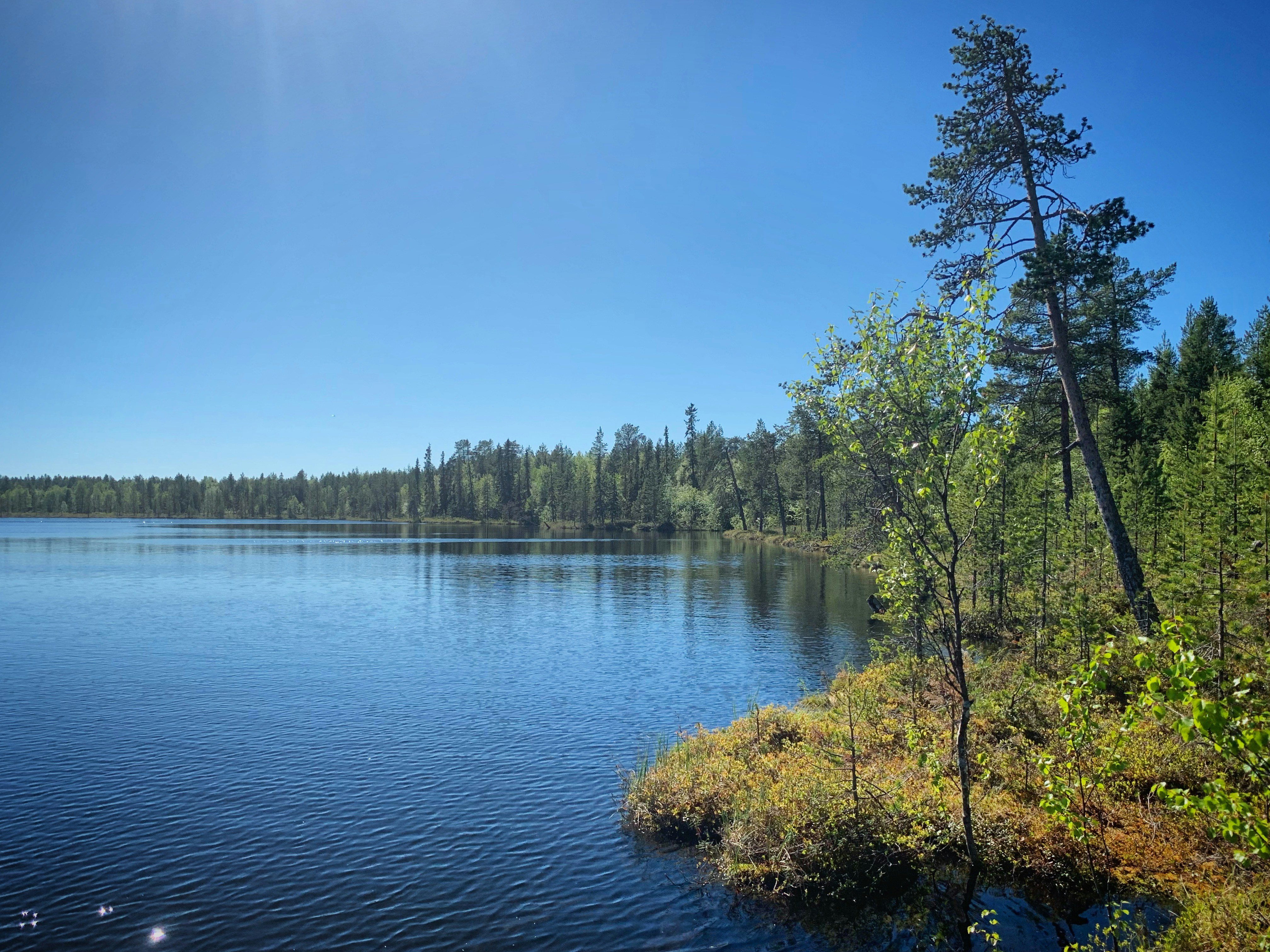 a large body of water surrounded by trees