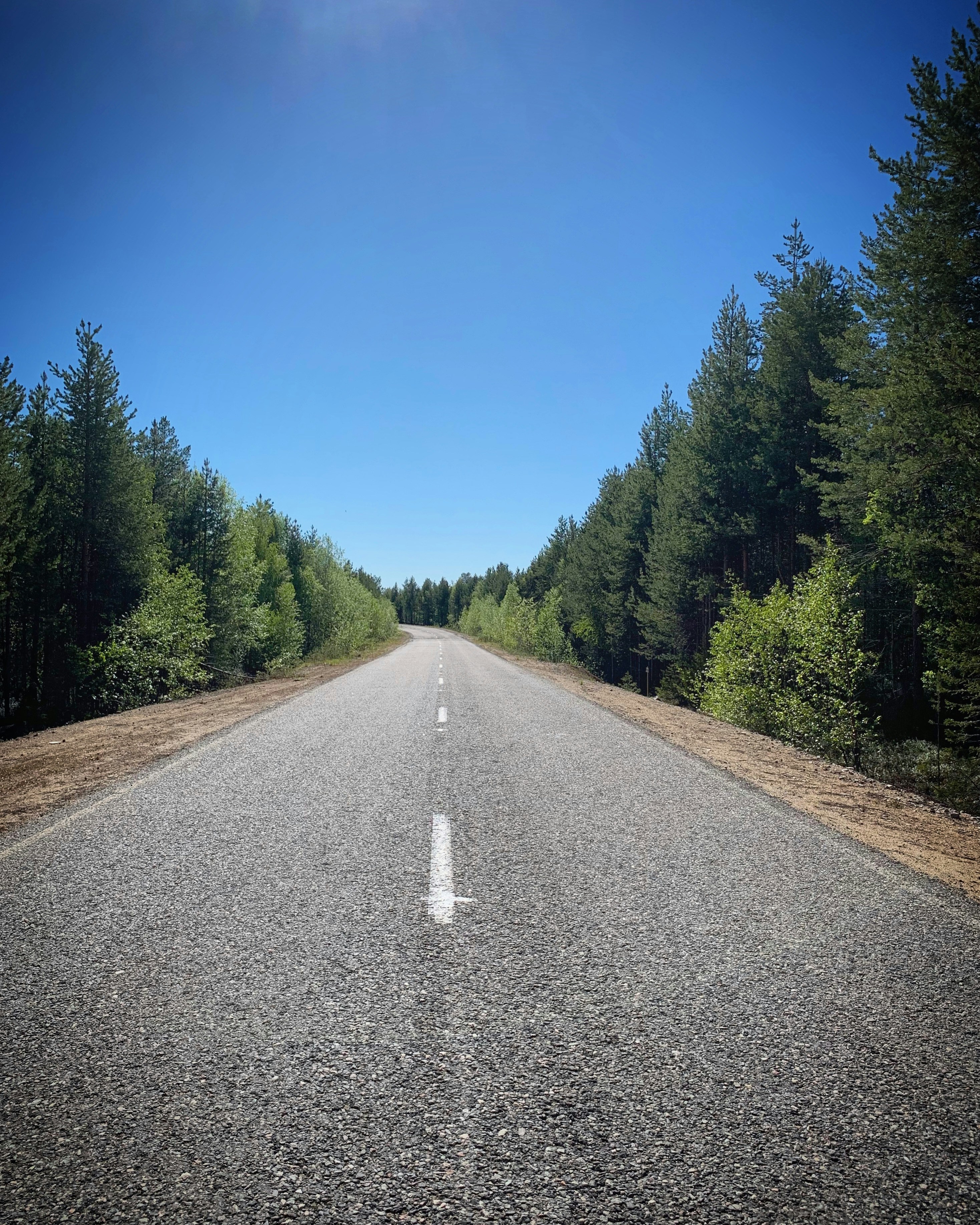 an empty road surrounded by trees on a sunny day