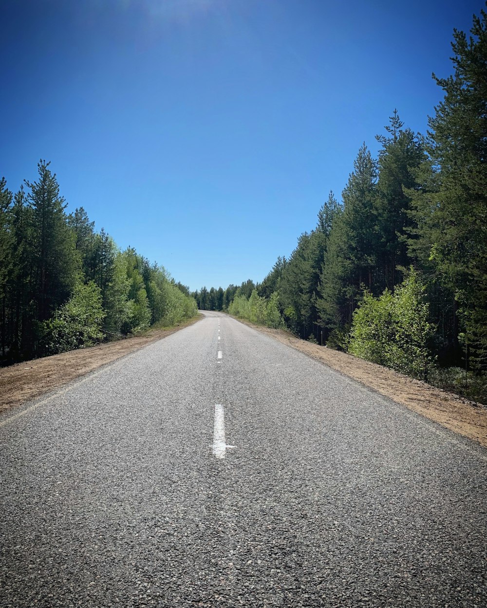 an empty road surrounded by trees on a sunny day