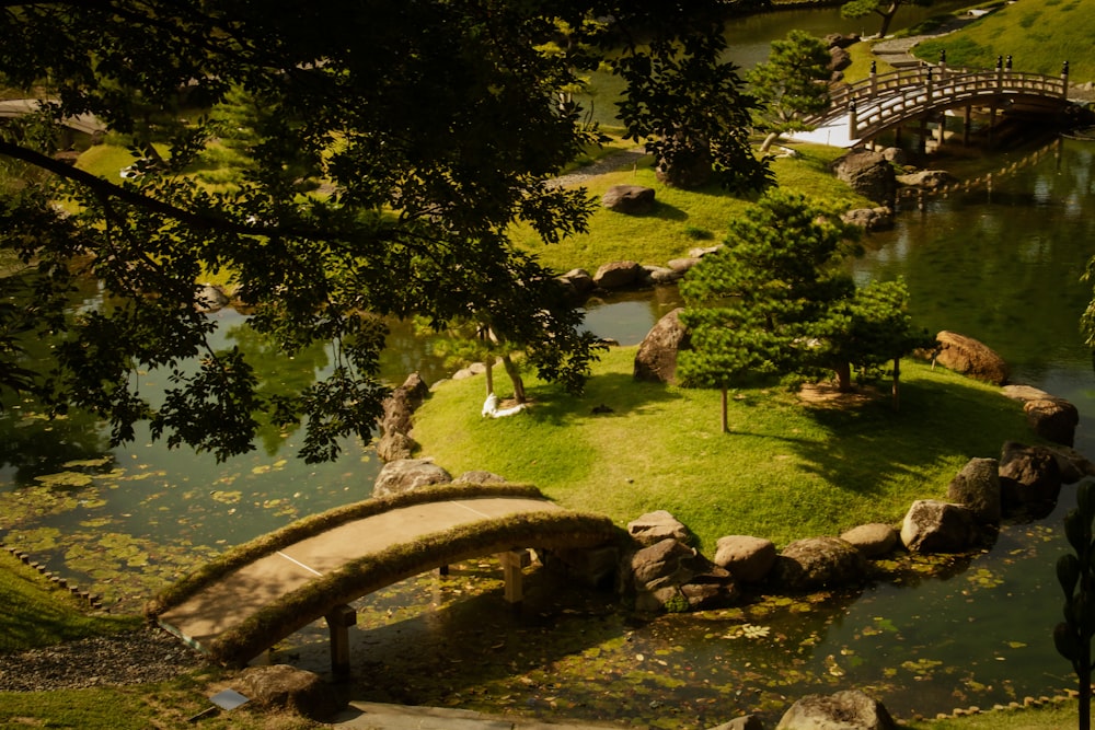 a small bridge over a small pond in a park