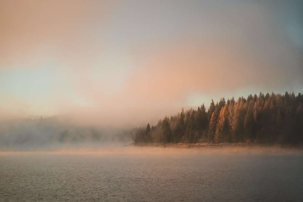 a body of water surrounded by trees on a foggy day