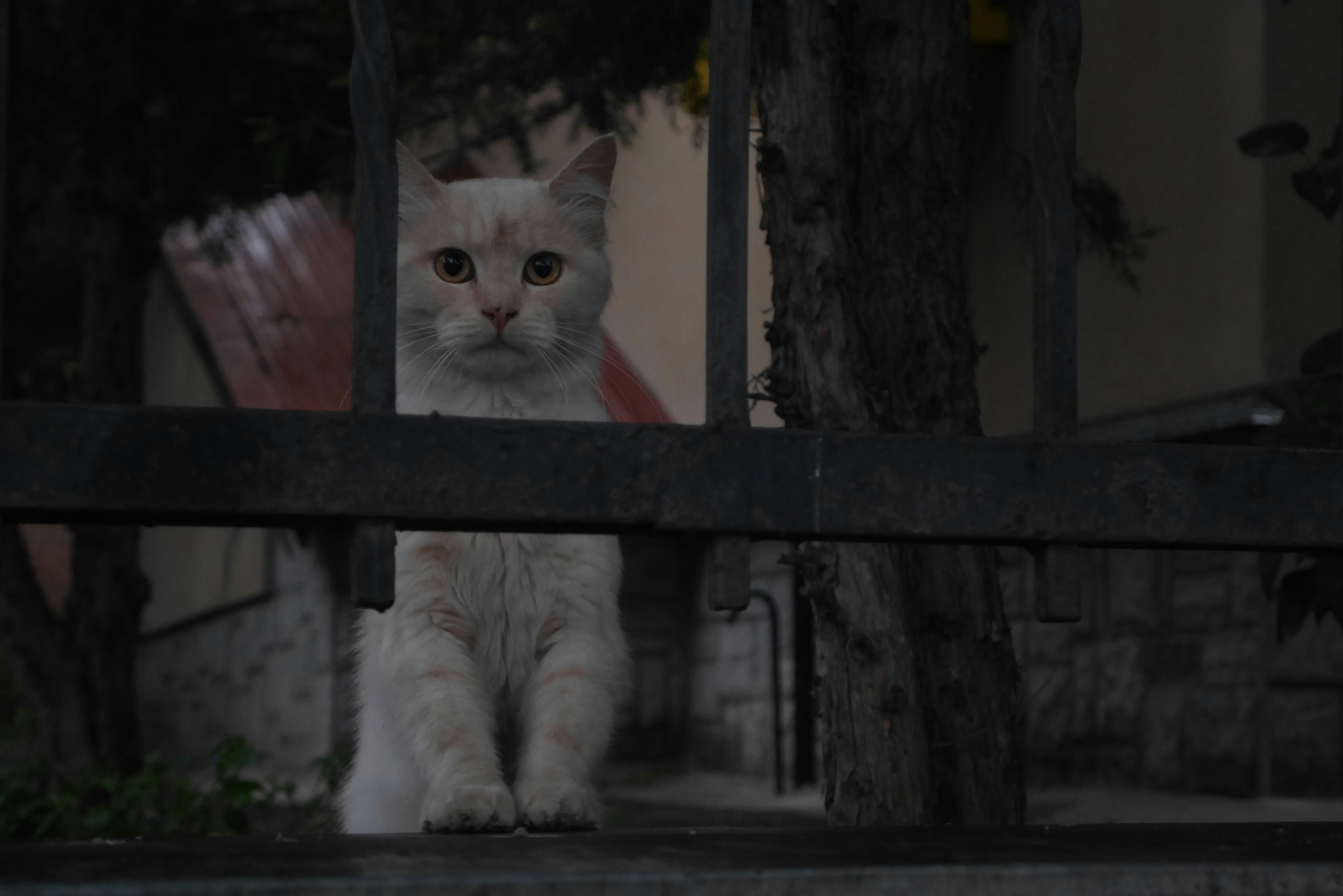 Photo by mykytashamota