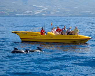 a group of people riding on the back of a yellow boat