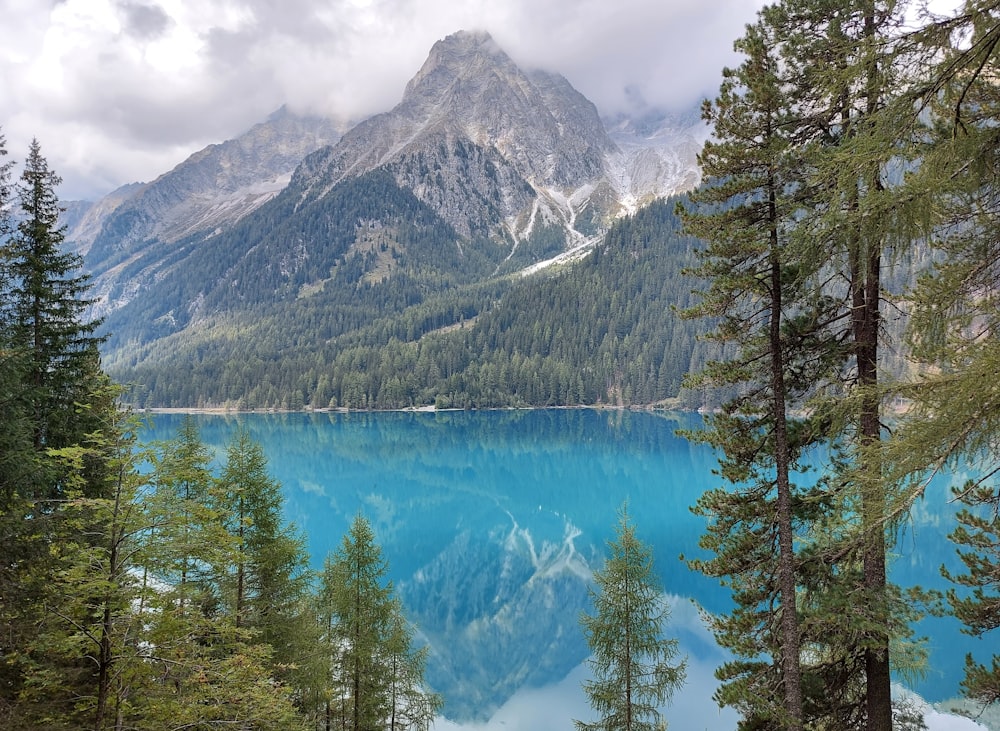 a blue lake surrounded by trees and mountains