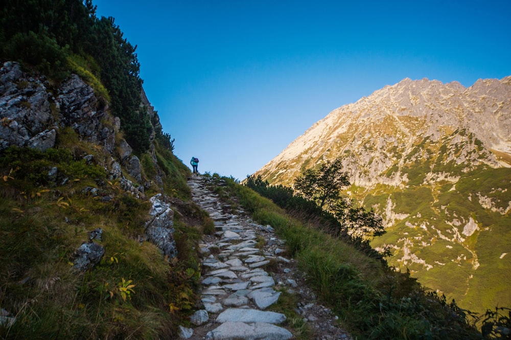 a man standing on top of a mountain next to a stone path