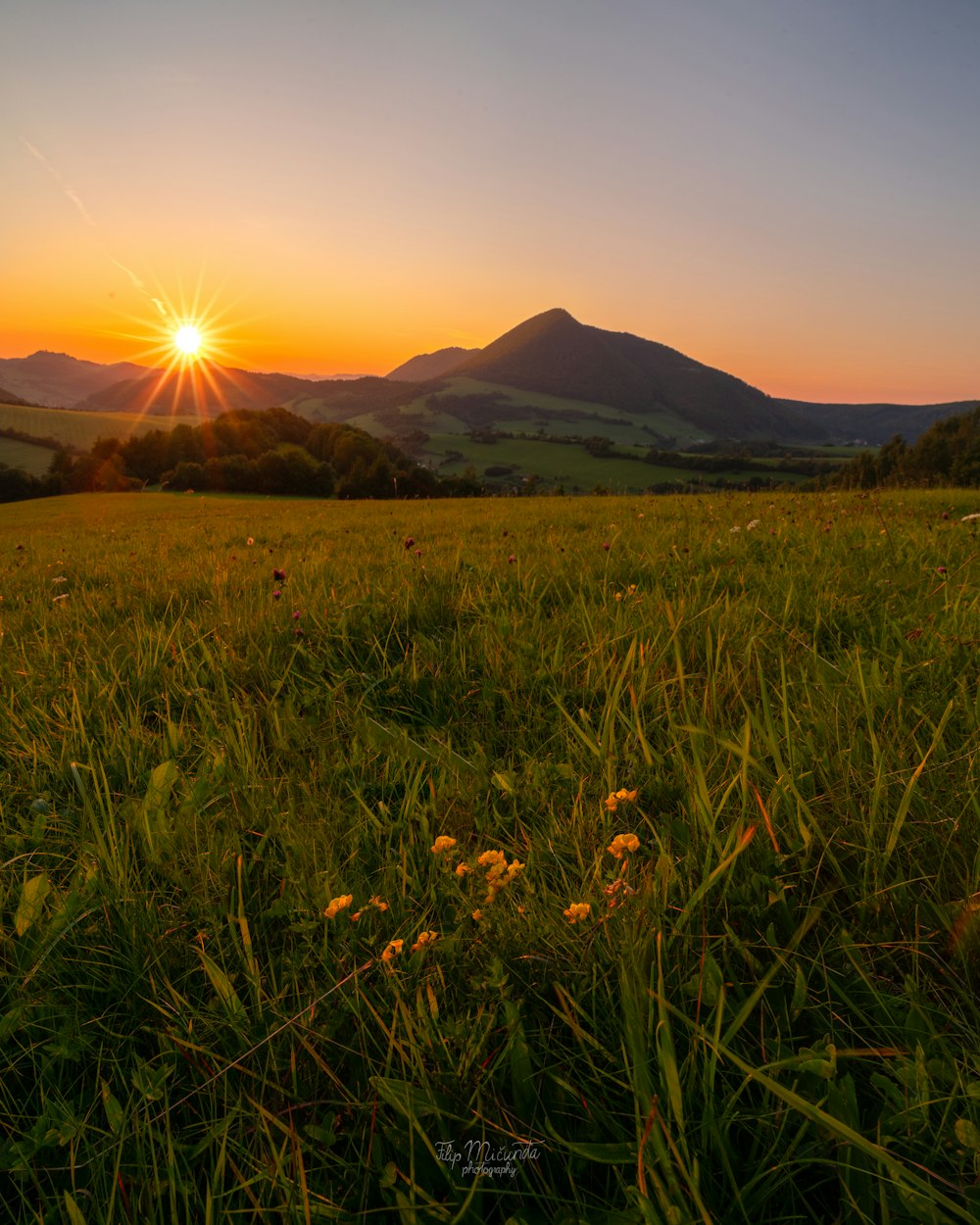 the sun is setting over a grassy field