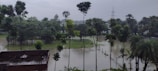 A landscape featuring a flooded area with partially submerged trees amid standing water. The sky is overcast, contributing to a gloomy atmosphere. A structure with a flat roof appears in the lower left corner, and tall utility poles or towers can be seen in the distance.