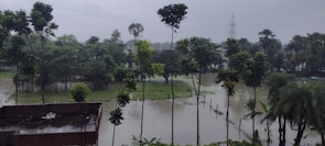 A landscape featuring a flooded area with partially submerged trees amid standing water. The sky is overcast, contributing to a gloomy atmosphere. A structure with a flat roof appears in the lower left corner, and tall utility poles or towers can be seen in the distance.