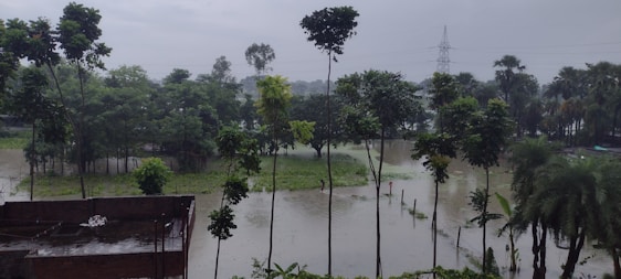 A landscape featuring a flooded area with partially submerged trees amid standing water. The sky is overcast, contributing to a gloomy atmosphere. A structure with a flat roof appears in the lower left corner, and tall utility poles or towers can be seen in the distance.