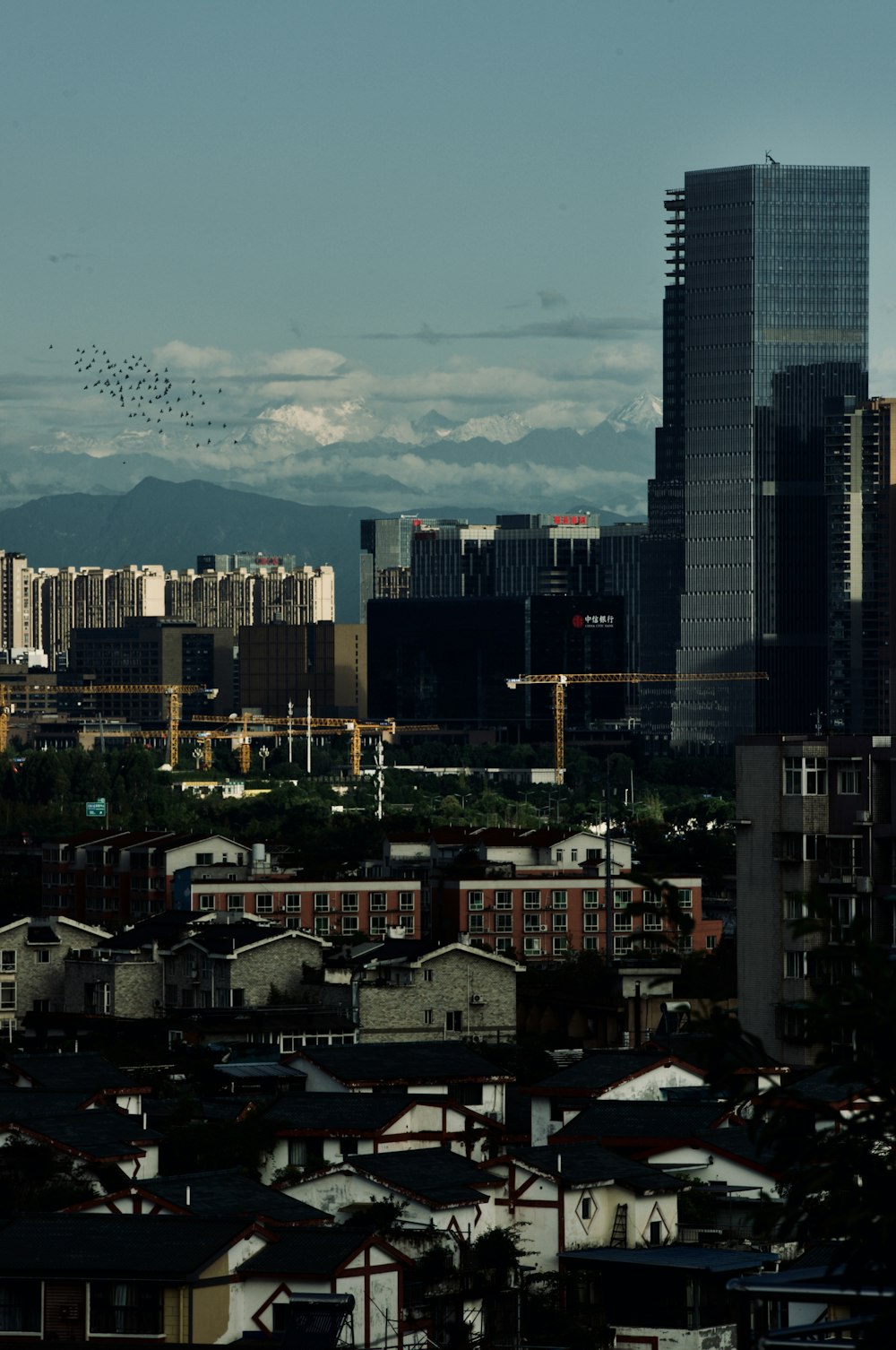 Una vista di una città con molti edifici alti