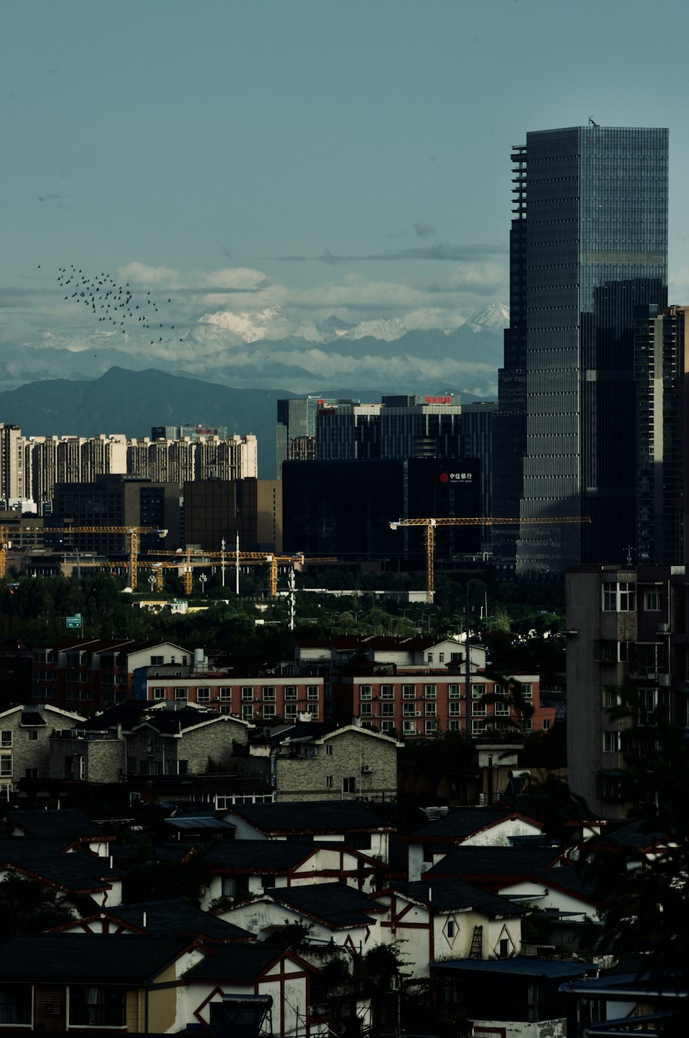 a view of a city with a lot of tall buildings