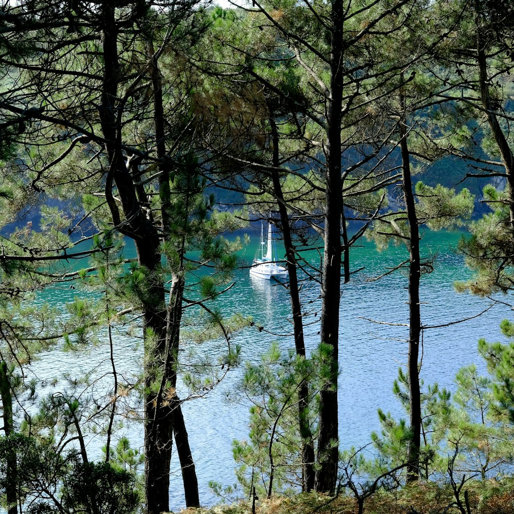 a sailboat in a lake surrounded by trees